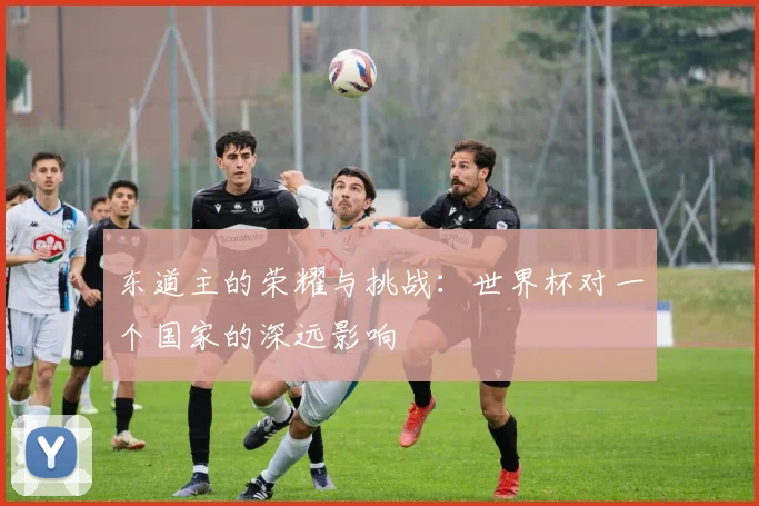 东道主的荣耀与挑战：世界杯对一个国家的深远影响