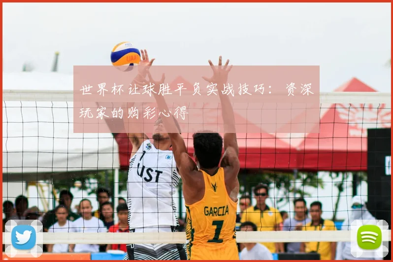世界杯让球胜平负实战技巧:资深玩家的购彩心得