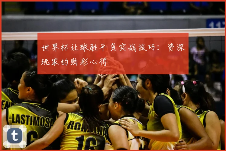 世界杯让球胜平负实战技巧:资深玩家的购彩心得